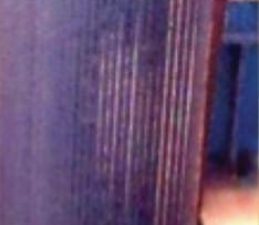 MetsoBrasil Figure 6